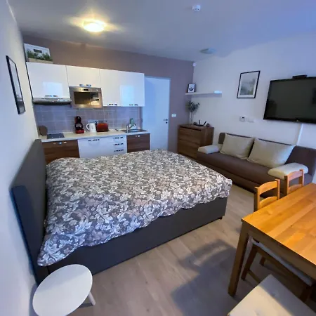 Miky Klinovec Meadow Apartment Loučná pod Klínovcem